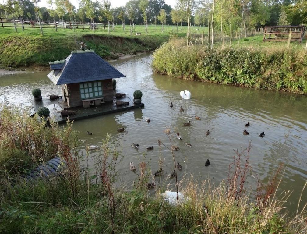 Ferme De Dauval Bed & Breakfast Mandeville-en-Bessin ภายนอก รูปภาพ
